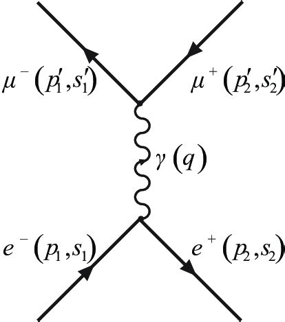 antimuon vs muon lifespan.